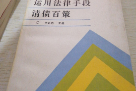 南京为什么选择专业追讨公司来处理您的债务纠纷？